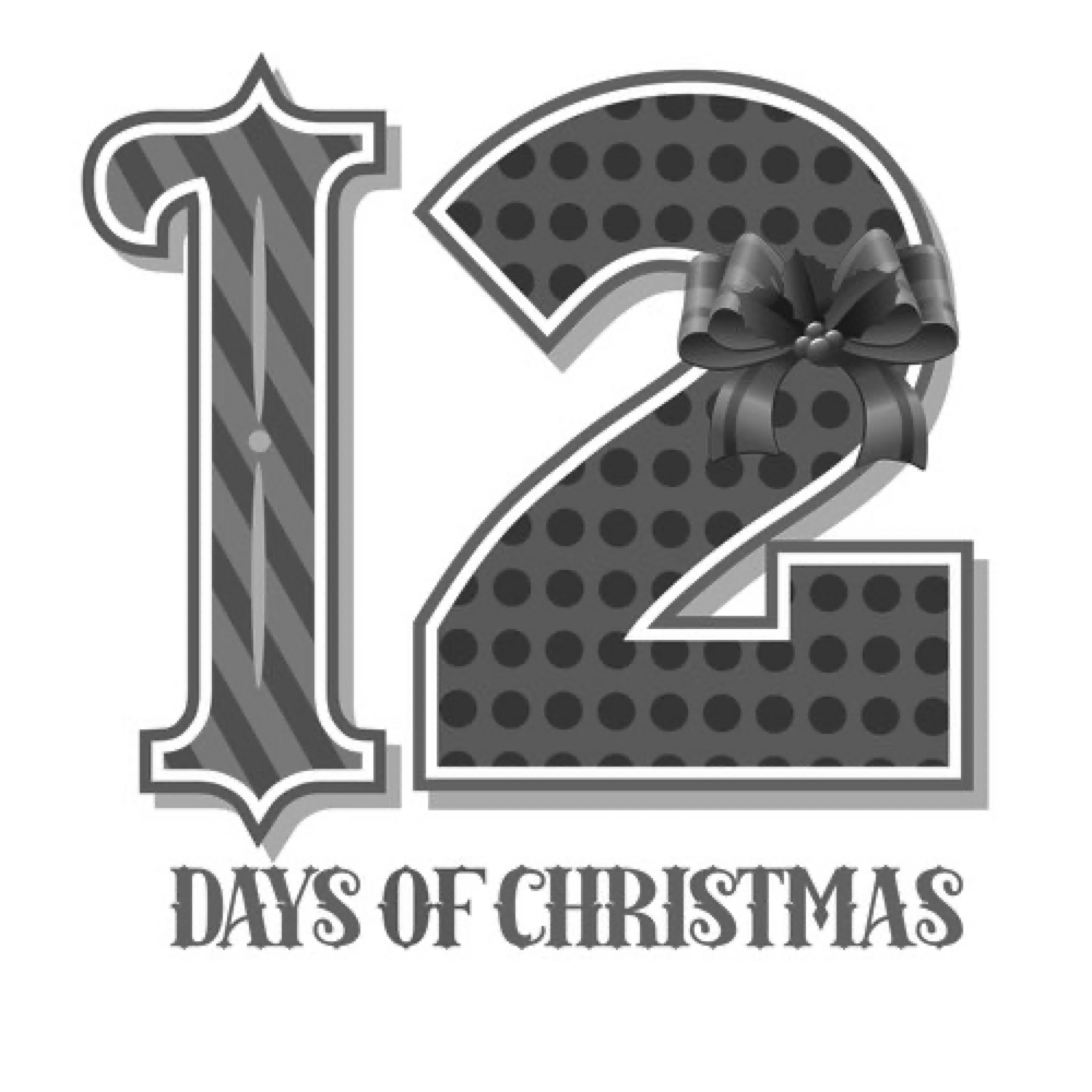 12-days-of-our-christmas-cherjoy-blog